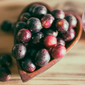 Resveratrol